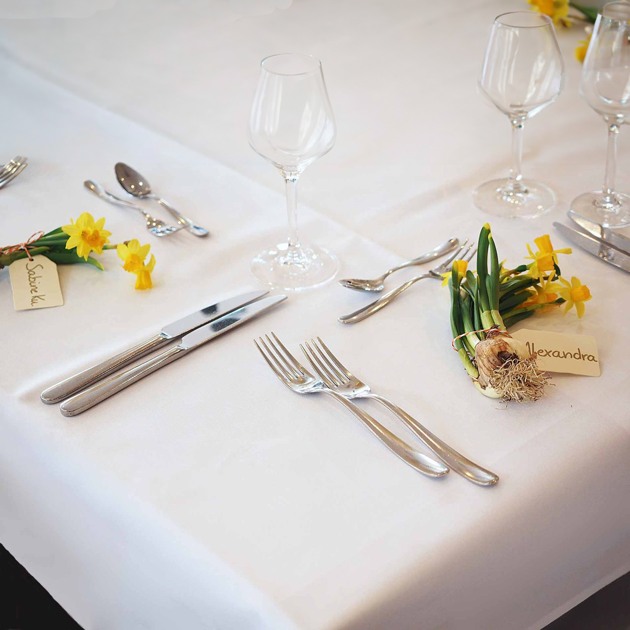Tischdecke Jatta fleckgeschützt, schmutzabweisend & bügelfrei